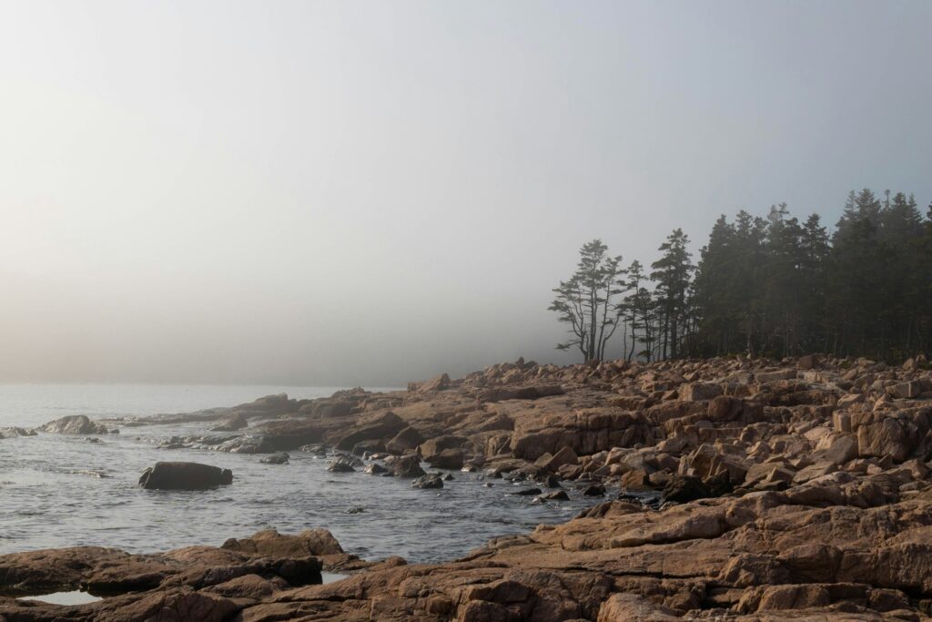 Rocky Maine shoreline emerging from fog
